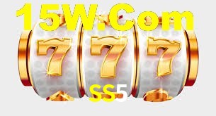 Premium Interface SS5